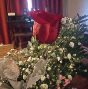 Meet your Posher, Brenda